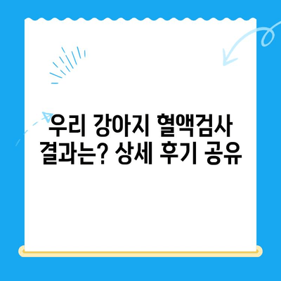 성북구 24시간 동물병원 노견 강아지 혈액검사 후기| 상세 경험 공유 | 노령견 건강, 혈액검사, 동물병원 추천