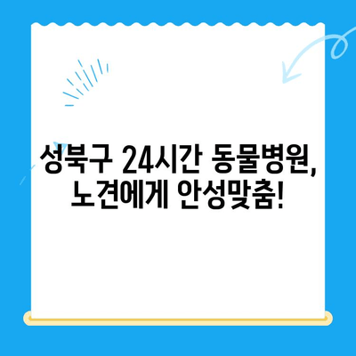 성북구 24시간 동물병원 노견 강아지 혈액검사 후기| 상세 경험 공유 | 노령견 건강, 혈액검사, 동물병원 추천