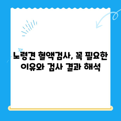 성북구 24시간 동물병원 노견 강아지 혈액검사 후기| 상세 경험 공유 | 노령견 건강, 혈액검사, 동물병원 추천