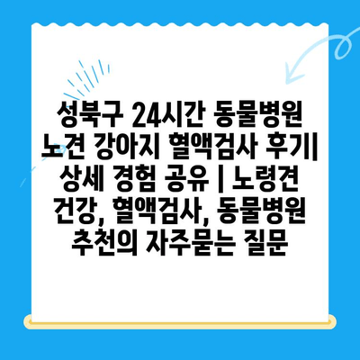 성북구 24시간 동물병원 노견 강아지 혈액검사 후기| 상세 경험 공유 | 노령견 건강, 혈액검사, 동물병원 추천