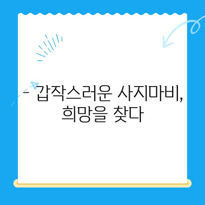 원주 강아지 사지마비, 24시 스카이 치료 후기| 희망을 찾은 이야기 | 강아지, 사지마비, 재활, 치료, 후기, 원주, 24시 스카이