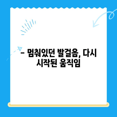 원주 강아지 사지마비, 24시 스카이 치료 후기| 희망을 찾은 이야기 | 강아지, 사지마비, 재활, 치료, 후기, 원주, 24시 스카이