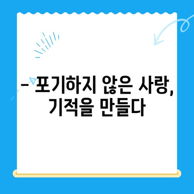 원주 강아지 사지마비, 24시 스카이 치료 후기| 희망을 찾은 이야기 | 강아지, 사지마비, 재활, 치료, 후기, 원주, 24시 스카이