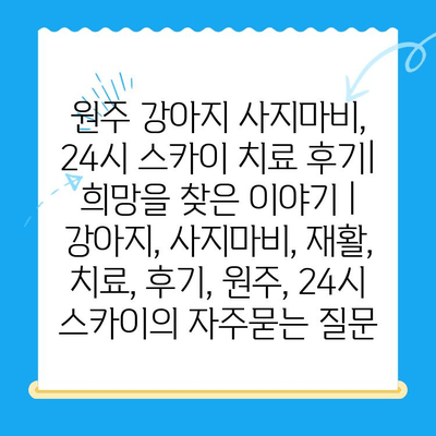 원주 강아지 사지마비, 24시 스카이 치료 후기| 희망을 찾은 이야기 | 강아지, 사지마비, 재활, 치료, 후기, 원주, 24시 스카이