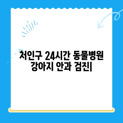 처인구 24시간 동물병원 강아지 안과 검진| 전문의 진료 & 응급 상황 대처 가이드 | 처인구, 24시간 동물병원, 강아지 안과, 응급 진료