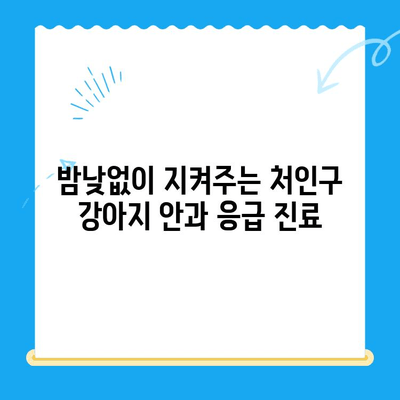 처인구 24시간 동물병원 강아지 안과 검진| 전문의 진료 & 응급 상황 대처 가이드 | 처인구, 24시간 동물병원, 강아지 안과, 응급 진료