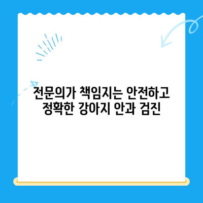 처인구 24시간 동물병원 강아지 안과 검진| 전문의 진료 & 응급 상황 대처 가이드 | 처인구, 24시간 동물병원, 강아지 안과, 응급 진료