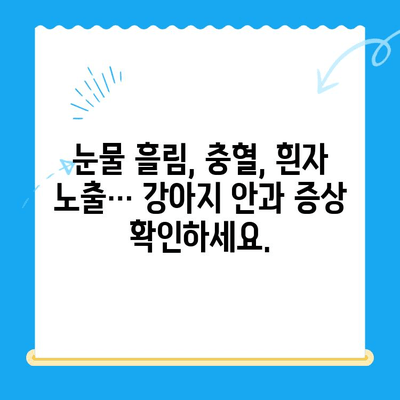 처인구 24시간 동물병원 강아지 안과 검진| 전문의 진료 & 응급 상황 대처 가이드 | 처인구, 24시간 동물병원, 강아지 안과, 응급 진료