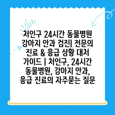 처인구 24시간 동물병원 강아지 안과 검진| 전문의 진료 & 응급 상황 대처 가이드 | 처인구, 24시간 동물병원, 강아지 안과, 응급 진료