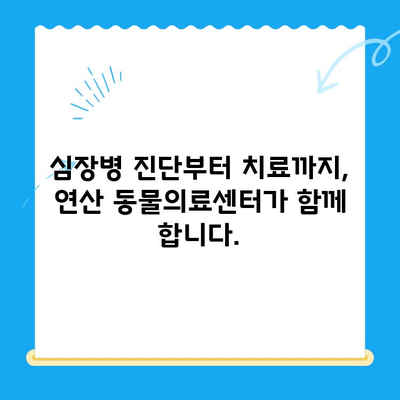 부산 반려견 심장병 전문, 24시 연산 동물의료센터 회복실 돌봄 이야기 | 심장 검사, 입원, 회복