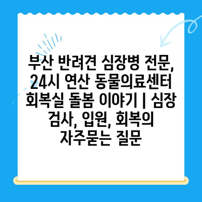 부산 반려견 심장병 전문, 24시 연산 동물의료센터 회복실 돌봄 이야기 | 심장 검사, 입원, 회복