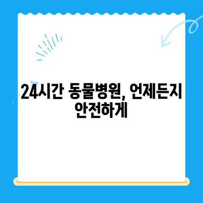 24시간 동물병원| 뼈 부러진 반려동물 응급처치 & 관리 가이드 | 응급상황, 치료, 회복, 팁