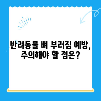 24시간 동물병원| 뼈 부러진 반려동물 응급처치 & 관리 가이드 | 응급상황, 치료, 회복, 팁