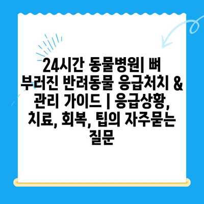 24시간 동물병원| 뼈 부러진 반려동물 응급처치 & 관리 가이드 | 응급상황, 치료, 회복, 팁