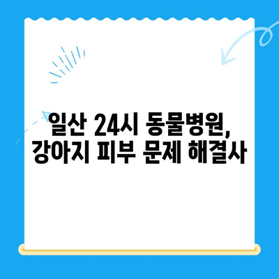 일산 24시 동물병원 강아지 피부 검사| 종류별 비용 & 정보 | 피부병, 진료, 예약, 24시간
