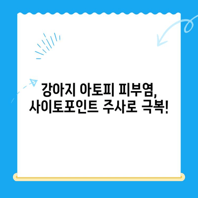 강아지 아토피 피부염 치료 후기| 24시간 동물병원 사이토포인트 주사 경험 공유 | 아토피, 피부염, 24시간 동물병원, 사이토포인트