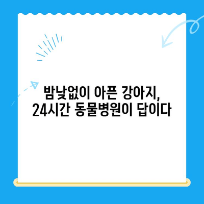 강아지 아토피 피부염 치료 후기| 24시간 동물병원 사이토포인트 주사 경험 공유 | 아토피, 피부염, 24시간 동물병원, 사이토포인트