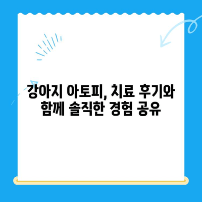 강아지 아토피 피부염 치료 후기| 24시간 동물병원 사이토포인트 주사 경험 공유 | 아토피, 피부염, 24시간 동물병원, 사이토포인트