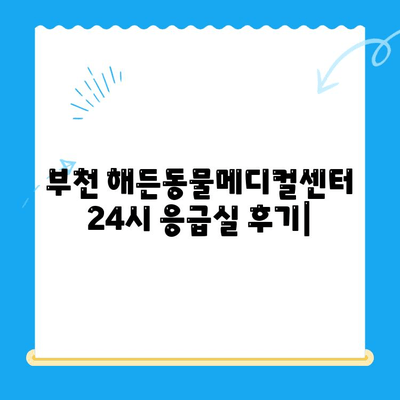부천 해든동물메디컬센터 24시 응급실 이용 후기| 긴급 상황 속 따뜻한 경험 | 동물병원, 응급진료, 부천, 해든