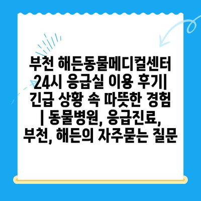 부천 해든동물메디컬센터 24시 응급실 이용 후기| 긴급 상황 속 따뜻한 경험 | 동물병원, 응급진료, 부천, 해든
