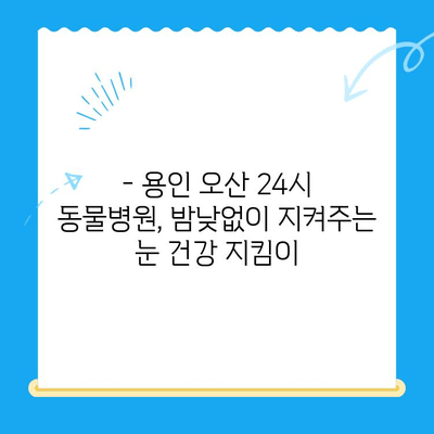 용인 오산 24시 동물병원 안과 검진 리뷰| 솔직한 후기와 추천 | 동물병원, 안과 검진, 24시 운영, 용인, 오산