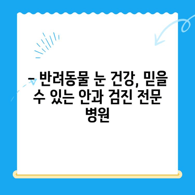 용인 오산 24시 동물병원 안과 검진 리뷰| 솔직한 후기와 추천 | 동물병원, 안과 검진, 24시 운영, 용인, 오산