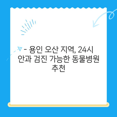 용인 오산 24시 동물병원 안과 검진 리뷰| 솔직한 후기와 추천 | 동물병원, 안과 검진, 24시 운영, 용인, 오산