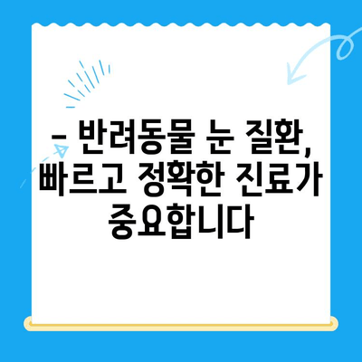 용인 오산 24시 동물병원 안과 검진 리뷰| 솔직한 후기와 추천 | 동물병원, 안과 검진, 24시 운영, 용인, 오산