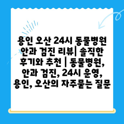 용인 오산 24시 동물병원 안과 검진 리뷰| 솔직한 후기와 추천 | 동물병원, 안과 검진, 24시 운영, 용인, 오산