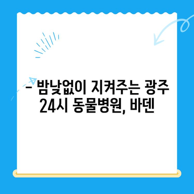 광주 24시 동물병원, 바덴 동물메디컬센터 체험 후기| 강아지 건강검진 경험 공유 | 광주 동물병원, 강아지 건강검진, 24시 동물병원, 바덴 동물메디컬센터