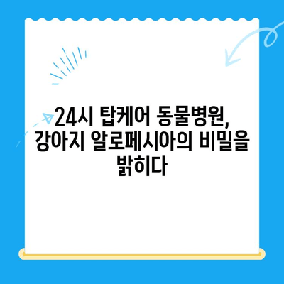 일산 24시 탑케어 동물병원| 강아지 알로페시아 피부 검사 후 갑상선기능저하증 T4 확인 및 회복 과정 | 화정동, 동물병원, 강아지 질병, 알로페시아, 갑상선, T4 검사, 회복