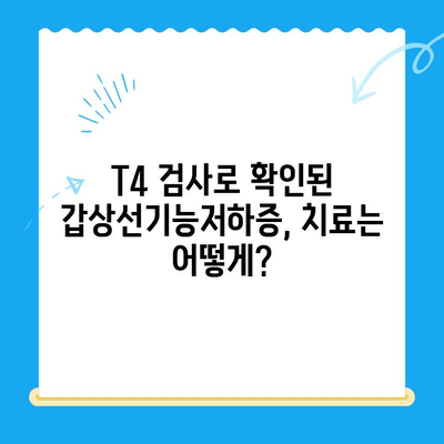 일산 24시 탑케어 동물병원| 강아지 알로페시아 피부 검사 후 갑상선기능저하증 T4 확인 및 회복 과정 | 화정동, 동물병원, 강아지 질병, 알로페시아, 갑상선, T4 검사, 회복