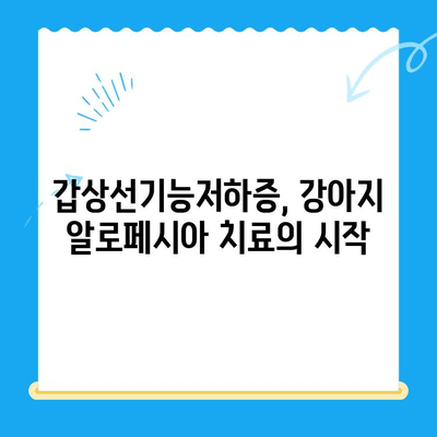 일산 24시 탑케어 동물병원| 강아지 알로페시아 피부 검사 후 갑상선기능저하증 T4 확인 및 회복 과정 | 화정동, 동물병원, 강아지 질병, 알로페시아, 갑상선, T4 검사, 회복