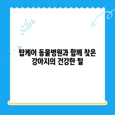 일산 24시 탑케어 동물병원| 강아지 알로페시아 피부 검사 후 갑상선기능저하증 T4 확인 및 회복 과정 | 화정동, 동물병원, 강아지 질병, 알로페시아, 갑상선, T4 검사, 회복