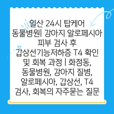 일산 24시 탑케어 동물병원| 강아지 알로페시아 피부 검사 후 갑상선기능저하증 T4 확인 및 회복 과정 | 화정동, 동물병원, 강아지 질병, 알로페시아, 갑상선, T4 검사, 회복