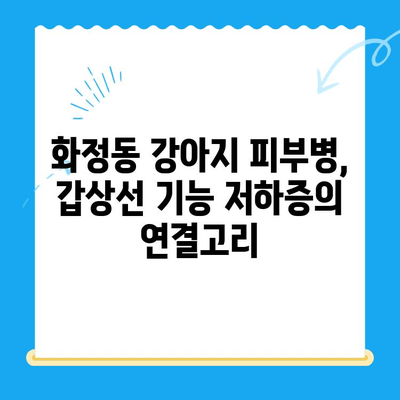 일산 화정동 동물병원, 강아지 피부 검사 후 갑상선 기능 저하증 진단| 원인과 치료법 | 강아지 피부병, 갑상선 기능 저하증, 동물병원