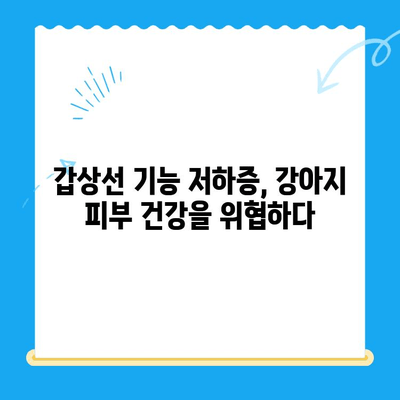 일산 화정동 동물병원, 강아지 피부 검사 후 갑상선 기능 저하증 진단| 원인과 치료법 | 강아지 피부병, 갑상선 기능 저하증, 동물병원