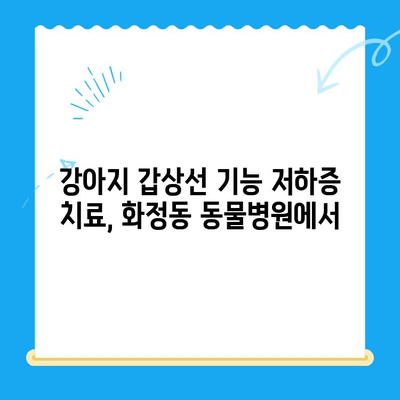 일산 화정동 동물병원, 강아지 피부 검사 후 갑상선 기능 저하증 진단| 원인과 치료법 | 강아지 피부병, 갑상선 기능 저하증, 동물병원