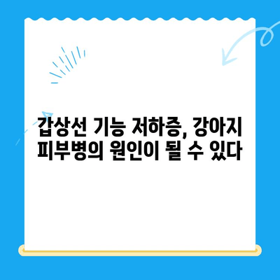 일산 화정동 동물병원, 강아지 피부 검사 후 갑상선 기능 저하증 진단| 원인과 치료법 | 강아지 피부병, 갑상선 기능 저하증, 동물병원