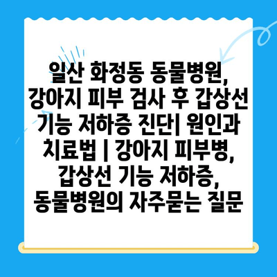 일산 화정동 동물병원, 강아지 피부 검사 후 갑상선 기능 저하증 진단| 원인과 치료법 | 강아지 피부병, 갑상선 기능 저하증, 동물병원