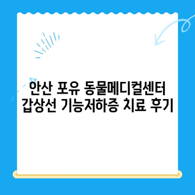 안산 포유 동물메디컬센터 갑상선 기능저하증 치료 후기| 반려동물 건강 되찾기 | 갑상선, 치료, 후기, 안산, 동물병원, 포유 동물메디컬센터