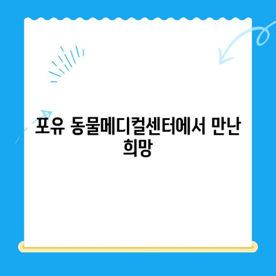 안산 포유 동물메디컬센터 갑상선 기능저하증 치료 후기| 반려동물 건강 되찾기 | 갑상선, 치료, 후기, 안산, 동물병원, 포유 동물메디컬센터