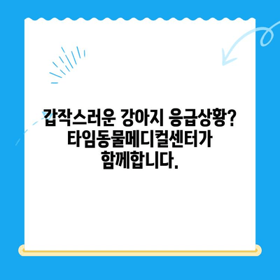 대전 타임동물메디컬센터 24시간 강아지 건강검진| 언제든지 건강을 지켜드립니다 | 동물병원, 건강검진, 24시간 운영, 대전, 강아지