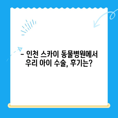 인천 스카이 동물병원 수술 후기| 🐶🐱 반려동물 건강, 만족도는? | 수술 후기, 만족도, 스카이 동물병원, 인천 동물병원