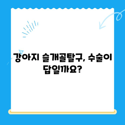 24시 동물병원 강아지 슬개골탈구 수술, 어떻게 진행될까요? | 슬개골탈구 수술 과정, 수술 후 관리, 비용