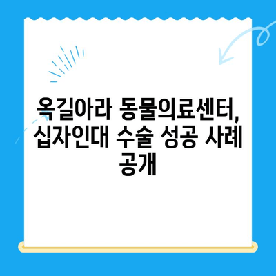 옥길아라 동물의료센터의 성공적인 십자인대 수술 사례| 반려동물의 건강한 회복을 위한 노력 | 십자인대 파열, 수술 후 관리, 재활 치료, 동물병원 추천