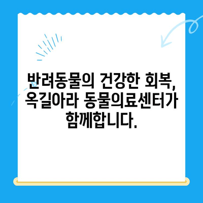 옥길아라 동물의료센터의 성공적인 십자인대 수술 사례| 반려동물의 건강한 회복을 위한 노력 | 십자인대 파열, 수술 후 관리, 재활 치료, 동물병원 추천