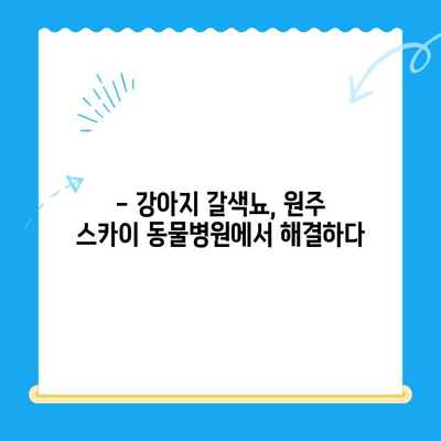 원주 24시 스카이 동물병원 강아지 갈색뇨 치료 후기| 저희 아이의 경험 | 강아지 갈색뇨, 원주 동물병원, 치료 후기, 24시 동물병원