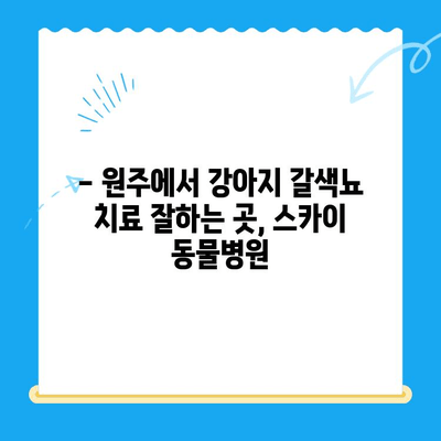 원주 24시 스카이 동물병원 강아지 갈색뇨 치료 후기| 저희 아이의 경험 | 강아지 갈색뇨, 원주 동물병원, 치료 후기, 24시 동물병원