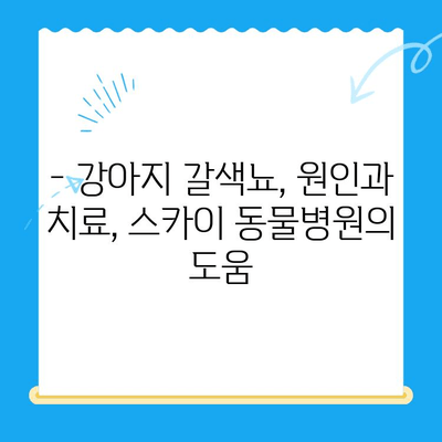 원주 24시 스카이 동물병원 강아지 갈색뇨 치료 후기| 저희 아이의 경험 | 강아지 갈색뇨, 원주 동물병원, 치료 후기, 24시 동물병원